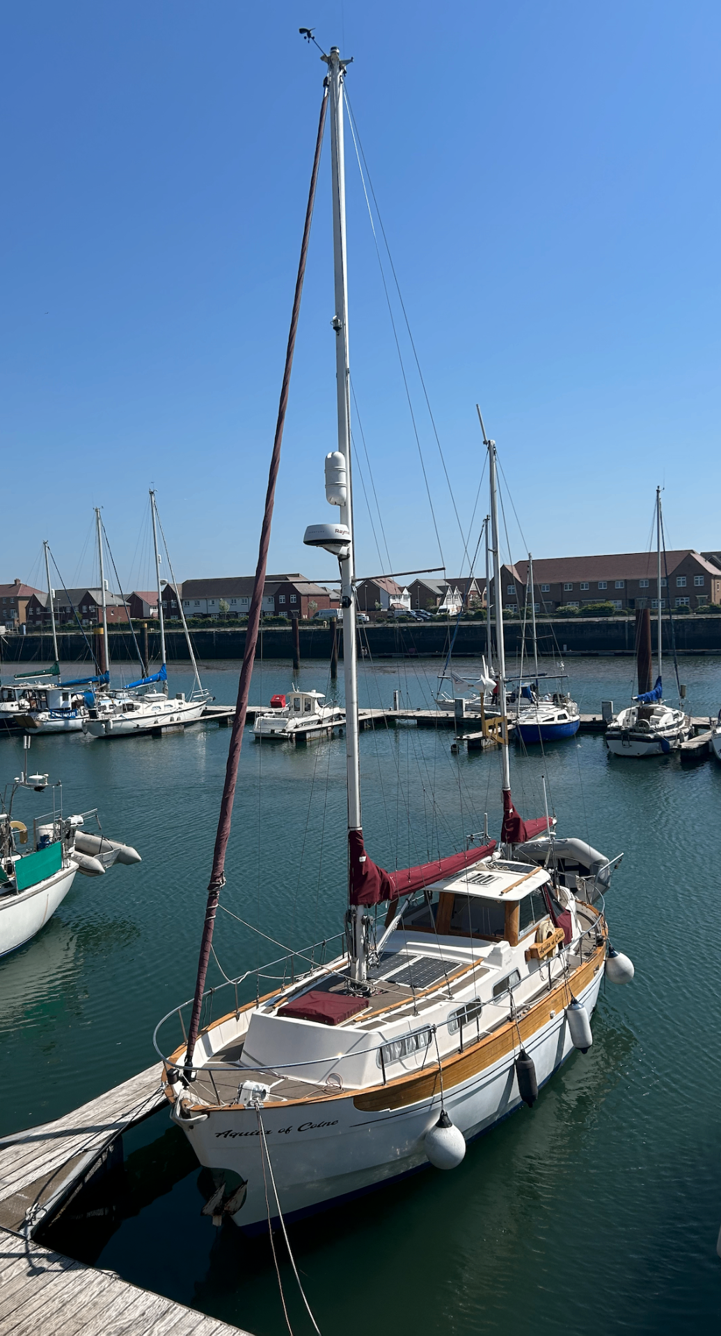 Sailing yacht moored in marina